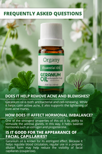 Factory Supply Bulk Geranium Essential <b>Oil</b> Pelargonium graveolens Steam Distilled for Aromatherapy Cosmetics Skincare <b>Diffuser</b> - Product Image 4
