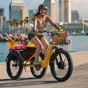 Trung Quốc Cung Cấp Cá Voi-24 3.0 Vận Chuyển Hàng Hóa Điện Ba Bánh 3-Bánh Xe Chất Béo Xe Đạp 48V 500W Giữa Ổ Đĩa 15AH Pin Hợp Kim Nhôm 7 Tốc Độ - Product Image 2