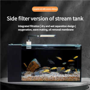 맞춤형 어항 스트림 울트라 화이트 유리 조경 탱크 홈 중소 데스크탑 어항 통합 필터 - Product Image 2