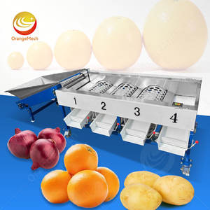 Machine de tri et de lavage de fruits et légumes ORME pour tomates, oranges, fruits du dragon et avocats - Product Image 1