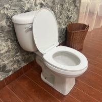 Ada Modern Mini Ensemble de toilettes en céramique allongée en forme de S Articles sanitaires de salle de bain standard avec structure en deux pièces Drainage en S
