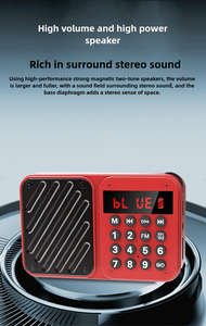 Nouveau lecteur de théâtre multifonction <span class=keywords><strong>portable</strong></span> <span class=keywords><strong>Radio</strong></span> sans fil BT pour les personnes âgées Mini <span class=keywords><strong>radio</strong></span> FM - Product Image 2