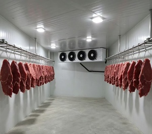 <span class=keywords><strong>Chambre</strong></span> Froide Industrielle pour Boucherie et Pêcherie, Stockage de Viande et de Poisson (<span class=keywords><strong>50</strong></span> Tonnes) - Vente Chaude Direct Usine - Product Image 3