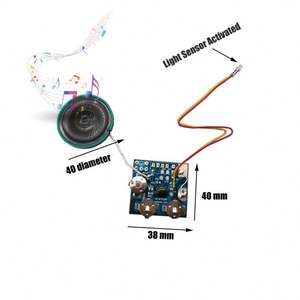 Biglietto d'Auguri Musicale Personalizzato con Sensore di Luce, Modulo Audio Registrabile, Certificato CE, Durata 30 Secondi - Product Image 3