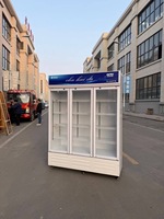Réfrigérateur commercial vertical à température unique pour boissons, refroidissement par air