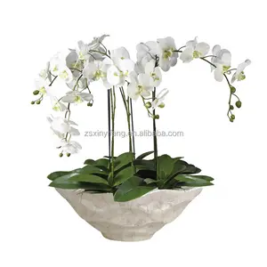 Wide Mouth Sea Shell Home Decoration Flower Pot Green Planter Round Boatshape Pot Fiberglass Vase orchid pot