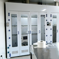 Hotte à fumées en polypropylène sur mesure pour laboratoire, type walk-in, avec conduit de ventilation en PP