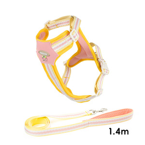 Set Pettorina e Guinzaglio per Cani Senza Strappi, in Rete Morbida, Colore Fluorescente, per Animali Domestici S <span class=keywords><strong>M</strong></span> L XL - Product Image 5