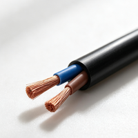 RVV 2-adriges Steuerkabel 300/500V Flexibles Kupfer PVC-isoliertes Elektrokabel