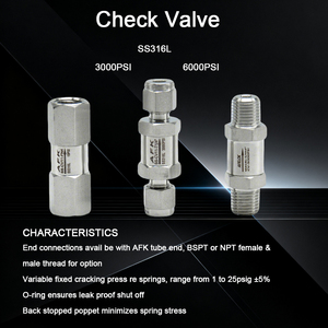 Thép không gỉ kiểm tra van poppet kiểm tra van 1/8 "1/4" 3/8 "1/2" 6000psi và 3000PSI ferrule/Nữ/Nam NPT PT g chủ đề - Product Image 2