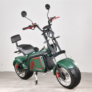 2023 Hot EW ALE EW Heap ully nncerrado ononvertible ARGE Pace dudult dulectric ricricycles - Product Image 3