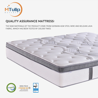 Home Hotel Bed Factory Benutzer definierte multifunktion ale Gel Memory Pocket Feder kern matratze Hochwertige Full Size 10 Wohn möbel Stoff