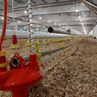 Structure en acier durable pour l'élevage de volailles, bâtiment polyvalent pour poulaillers/abris à poulets pour fermes