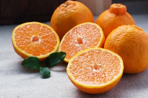 Importateur japonais d'oranges mandarines fraîches de Kumamoto de qualité supérieure, 8 kg, pour la transformation en jus - Product Image 6