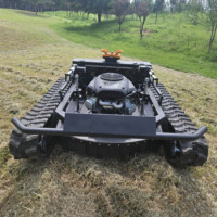 Tondeuse Robot Débroussailleuse Autoportée Chenillée Télécommandée à Vendre, Broyeur à Fléaux pour Herbe