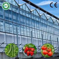 Serre agricole commerciale multi-chapelles en verre avec système hydroponique pour la culture de légumes, durée de vie de 20 à 30 ans