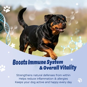 Probiotiques pour chiens sous forme de friandises molles – Santé intestinale, soutien immunitaire, digestion optimale, absorption rapide – 2,2 g/unité, durée de conservation de 3 ans, pour toutes les races et tous les âges - Product Image 4