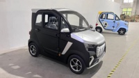 Mini voiture électrique à quatre roues EV de haute qualité certifiée EEC avec boîte de vitesses manuelle Caméra arrière de direction gauche et RWD