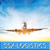 Bosa International Express - Expédition de fret LCL Chine-Mexique Guadalajara - Service DDU mondial porte-à-porte - Assurance - 5-7 jours