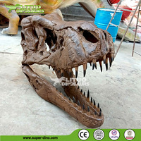 Répliques de fossiles de crâne de dinosaure T-Rex du musée