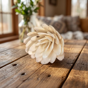 Thai Style 8 CM Sola Wood Dried <b>Reed</b> <b>Diffuser</b> White Environmental Friendly Indoor Home Decorative Flowers Plants <b>for</b> Weddings - Product Image 2