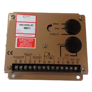 مولد Genst الإلكترونية وحدة التحكم في السرعة محافظ سرعة تحكم ESD5111 (ESD5520 ESD5330 ESD2241 ADC100-24 ACD110-24