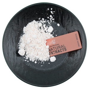 Manhay Fornisce Polvere di Acido Clorogenico di Alta Qualità 1%-98% per Proprietà Anti-infiammatorie - Product Image 4