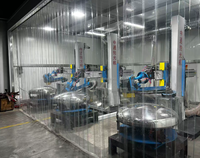 Machine de polissage automatique des surfaces extérieures des réservoirs ZT pour les coques de cuves