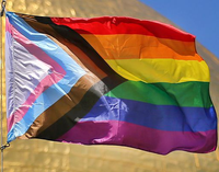 Vente chaude Chine Fabricant Bas Prix En Plein Air Acclamations LGBT Double Couture Avec Deux Grommet Arc-En-Drapeau De Processus