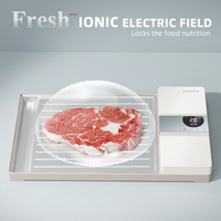 Cuisine réfrigérateur dessus de table vitesse rapide rapide pas de plateau de décongélation en aluminium électrique steak congelé décongeler la viande planche de dégivrage