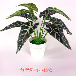 Plante artificielle en pot Qi Xing, Caladium Cœur Rouge en tissu de soie, Décoration intérieure, Verdure - Product Image 3