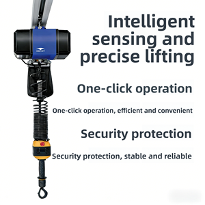 Sertifikasi CE, Pengangkat Rantai Listrik Cerdas Tinggi Angkat 6m 12m Dapat Disesuaikan 220v 380v 1ton 2ton <span class=keywords><strong>3t</strong></span> <span class=keywords><strong>5t</strong></span> Untuk Dijual - Product Image 3