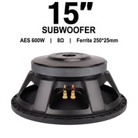 Subwoofer passif professionnel 15 pouces 600W RMS, haut-parleur PA, bobine vocale 100mm, aimant en ferrite 250mm, écologique, 8 ohms, métal, concert
