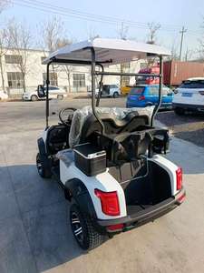 Carrito de Golf Eléctrico de 2 Plazas, 48V150Ah, 3.5KW, Carrito de Caza, Buggy de Golf, con Certificación CE para Carreteras No Públicas - Product Image 4