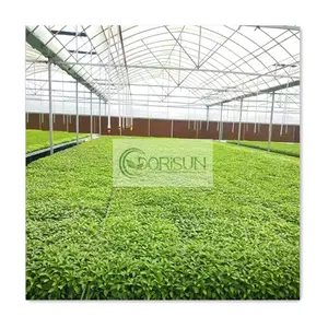 Grow Bags Steel Tube Construction Accessories Hdpe Film Tightening Micro Sprinkler Chicken Breeding Plastic Insulated Greenhouse