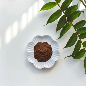 אבקת תמצית שורשים אורגנית איכותית לאנרגיה יומיומית, תמיכה ביצוא אנרגטי ועמידות בפעילות גופנית, באריזת תוף/פחית, טהורה וחזקה לאורך זמן - Product Image 2