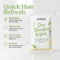 Lingettes nettoyantes capillaires sans eau au thé vert et niacinamide, personnalisables en gros, pour racines grasses, élimination des odeurs et fini volumineux