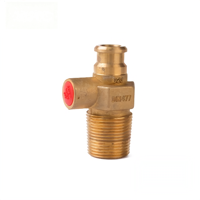 Structure de sécurité et de décharge de pression pour valve de bouteille de GPL en laiton D20, spécification standard