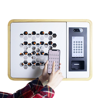 Boîte de gestion de clés de sécurité murale en métal durable avec serrure électronique à code, coffre-fort à clés, modèle 99+ VG-M, utilisation intérieure/extérieure