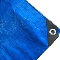 Bâche à coudre en nylon de polyéthylène vert, bleue