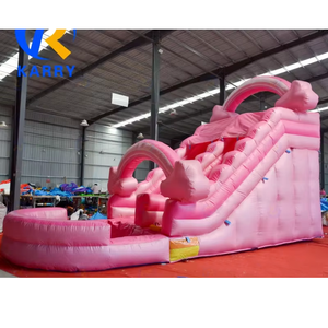 Commerciële Indoor/Outdoor Roze Pvc Opblaasbare Waterglijbaan Voor Kinderen Volwassenen Achtertuin Feestverhuur Apparatuur Voor Residentiële - Product Image 4