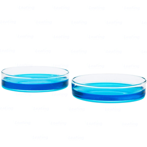 Boîtes de Pétri rondes en <span class=keywords><strong>verre</strong></span> non stériles de 100 mm pour laboratoire, consommables de laboratoire - Product Image 5