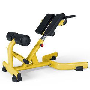 Chaise romaine commerciale, banc d'hyperextension, service OEM, équipement de fitness personnalisé pour salle de sport - Product Image 1