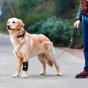 Supporto <span class=keywords><strong>rotula</strong></span> per ginocchiera per cani Premium per riabilitazione da dislocazione delle articolazioni dei legamenti e protezione dagli infortuni per cani - Product Image 1