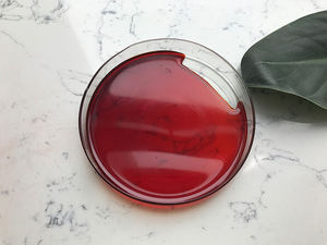 Doğal saf sağlık hammadde toplu kril yağı - Product Image 4