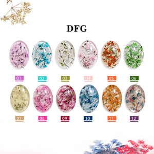 Pintura Acrílica <span class=keywords><strong>para</strong></span> <span class=keywords><strong>Uñas</strong></span> MOBRAY, <span class=keywords><strong>Precio</strong></span> de Fábrica al por Mayor, Marca Privada Personalizada, Gel <span class=keywords><strong>para</strong></span> <span class=keywords><strong>Uñas</strong></span> con Flores Secas, Larga Duración - Product Image 3