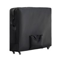 Échantillon Gratuit : Table de Massage Pliante Premium en Alliage d'Aluminium pour Salons de Massage et Instituts de Beauté, avec Sac de Transport Unique