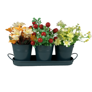 <span class=keywords><strong>Maceta</strong></span> <span class=keywords><strong>Circular</strong></span> Metálica de 3 Compartimentos para Suculentas, Hierbas y Flores, con Asa de Hierro y Bandeja, Suministros de Jardín - Product Image 2