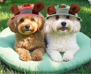 <span class=keywords><strong>2025</strong></span> nuevos accesorios de ropa para mascotas al aire libre, sombrero fresco para el sol para perros, gatos, conejos, cerdos holandeses, sombrero protector solar