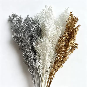 <span class=keywords><strong>Hojas</strong></span> de Ruscus Preservadas y Blanqueadas, Material para Decoración del Hogar, Manualidades, Arreglos Florales para Bodas/Fiestas - Product Image 1